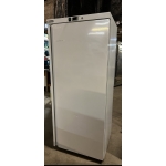 Single Commercial Freezer (Blizzard)
